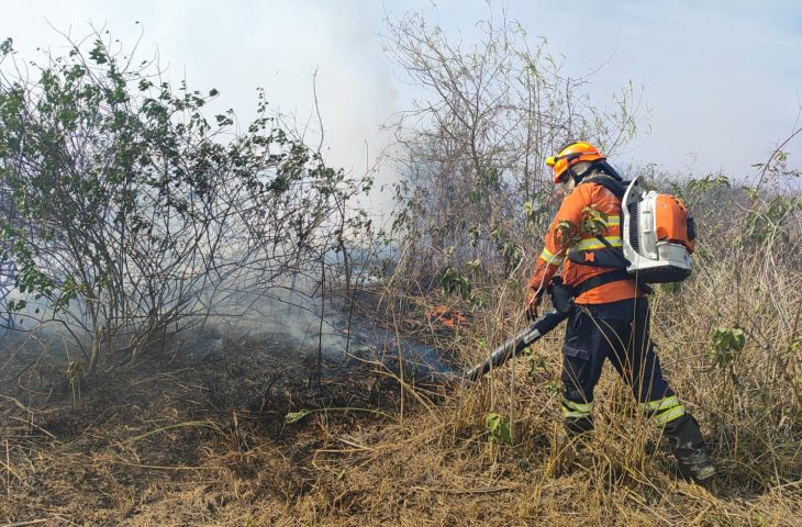 Leia mais sobre o artigo Com umidade do ar em 10%, Pantanal segue com nove focos de incêndios ativos