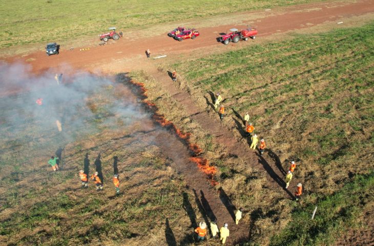 manejo fogo Grilagem
