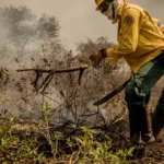 Incêndios no Pantanal já consumiram este ano mais de 15% do bioma