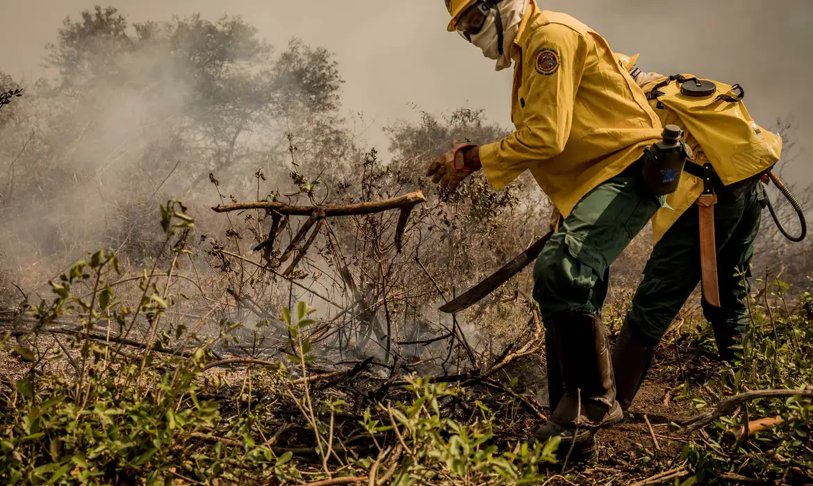 Você está visualizando atualmente Incêndios no Pantanal já consumiram este ano mais de 15% do bioma