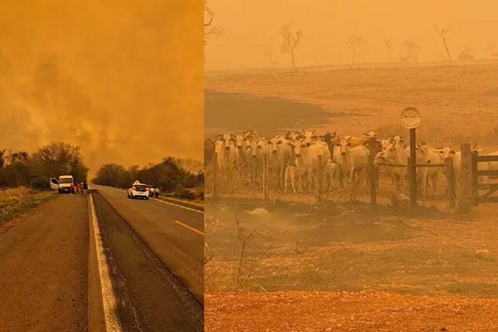 paisagem queimadas rodovias no Pantanal