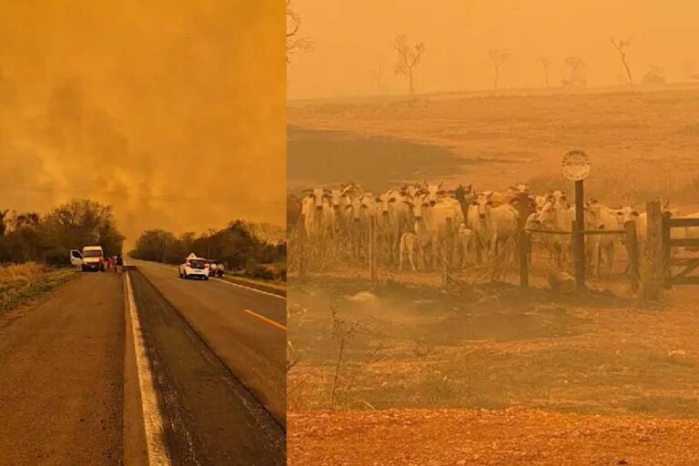 Incêndios mudam a paisagem e assustam motoristas que passam pela BR-262