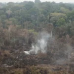 Delegado da PF diz que há indícios de ação coordenada em incêndios