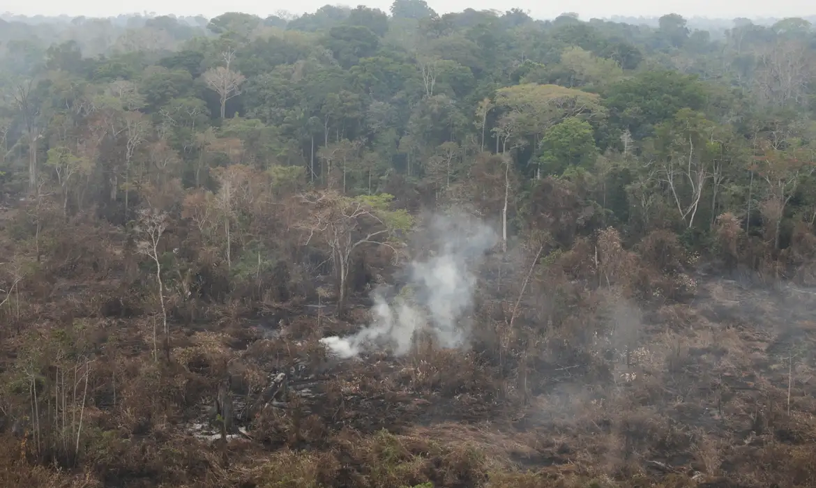 Você está visualizando atualmente Delegado da PF diz que há indícios de ação coordenada em incêndios