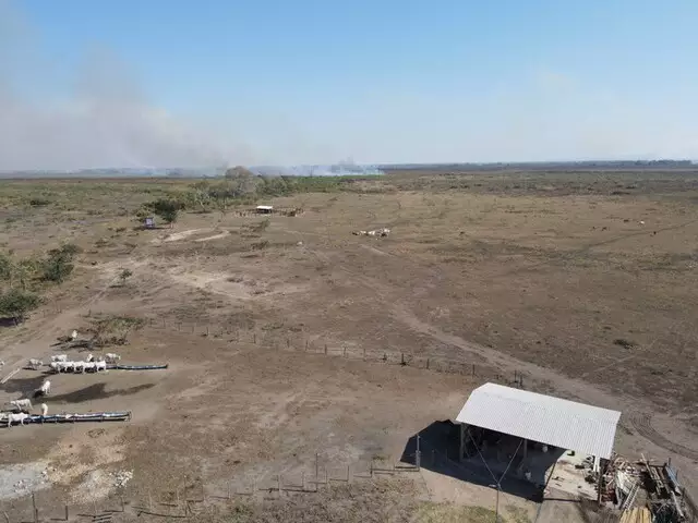 Você está visualizando atualmente Servidor municipal de Corumbá é suspeito de participação em esquema de grilagem no Pantanal