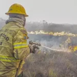 Ibama multa fazendeiros em R$ 100 milhões por queimada no Pantanal