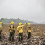 Flávio Dino estabelece orçamento de emergência para combate a incêndios