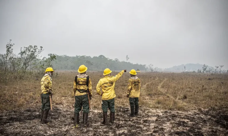 Flávio Dino estabelece orçamento de emergência para combate a incêndios