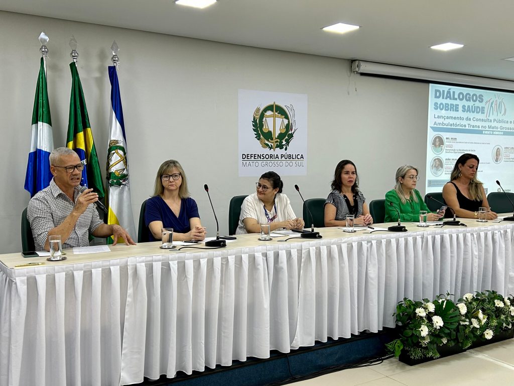 Consulta Publica saude populacao LGBTQIA 5 1024x768 1
