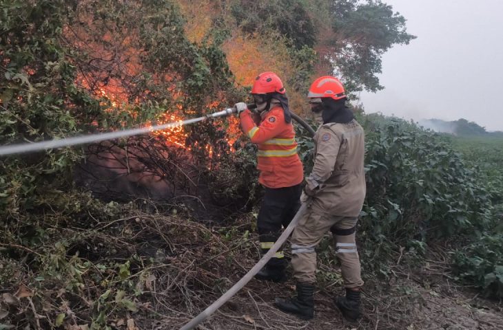 combate incendios incêndios no Pantanal