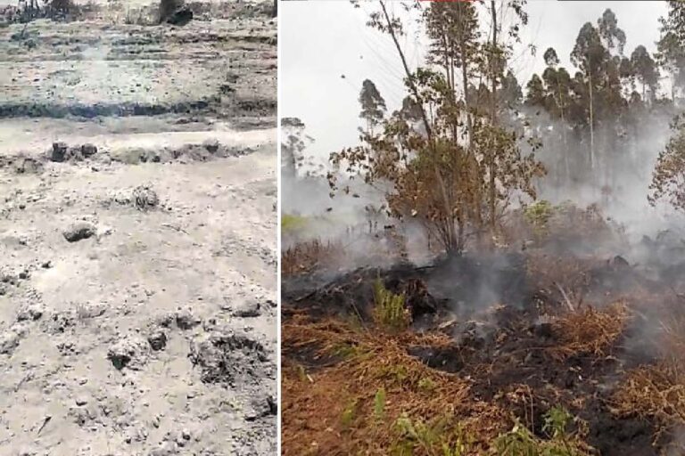 Incêndio de turfa: Fogo subterrâneo é desafio no combate as queimadas no Pantanal