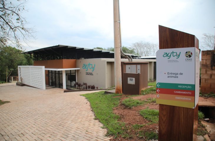 Hospital Ayty completa um ano de atividade com 3 mil reabilitações de animais silvestres