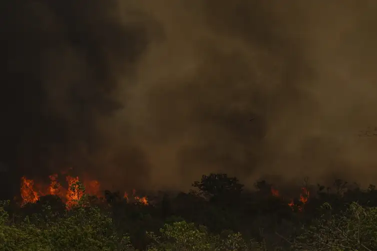 incendio parque nacionall mcamgo abr 16092024 5