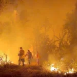 Bolívia enfrenta incêndios extremos, e Brasil reforça missão de combate ao fogo