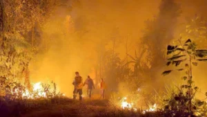 Leia mais sobre o artigo Brasil tem 22,38 milhões de hectares atingidos pelo fogo em nove meses