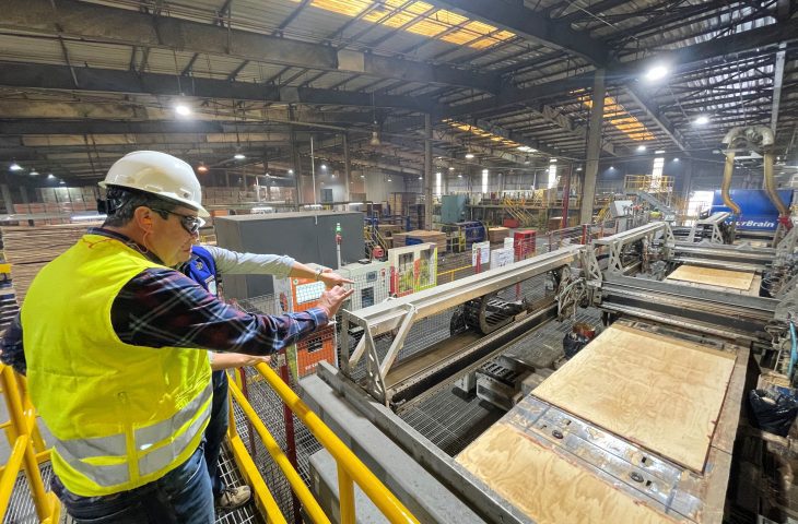 Arauco anuncia maior investimento da história em fábrica de celulose em MS