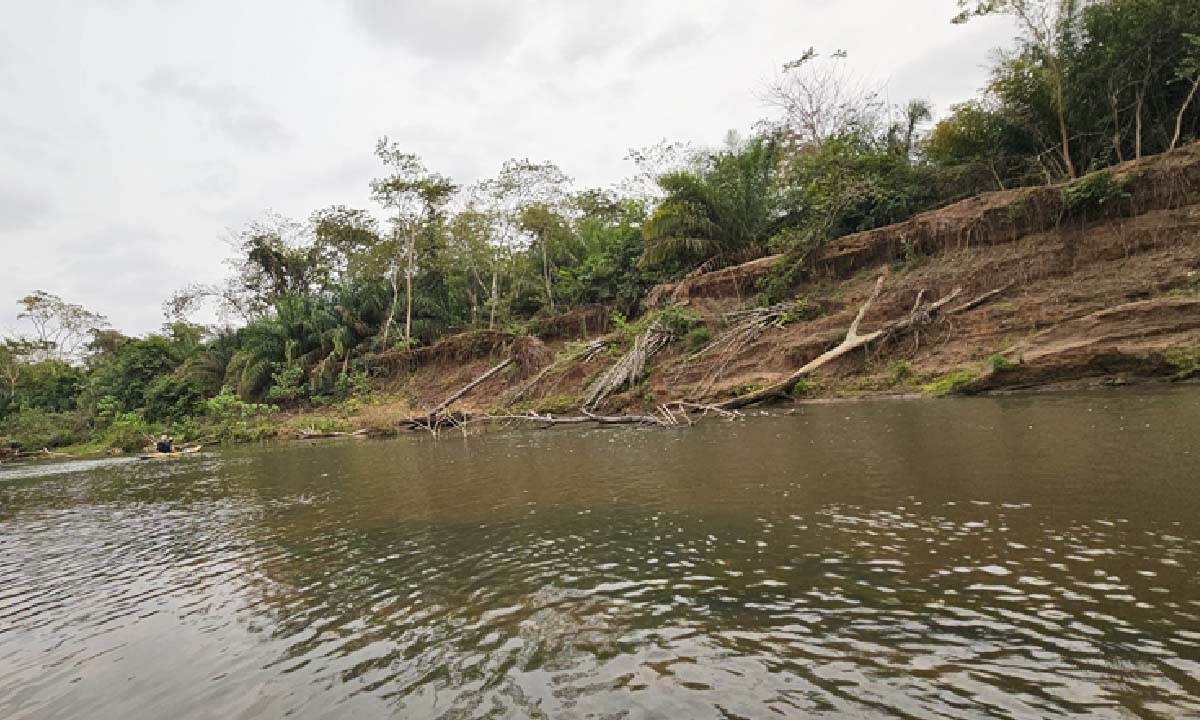 Você está visualizando atualmente Instituições realizam ação para conscientizar sobre situação crítica do rio Miranda