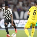 Botafogo busca classificação inédita para final da Libertadores