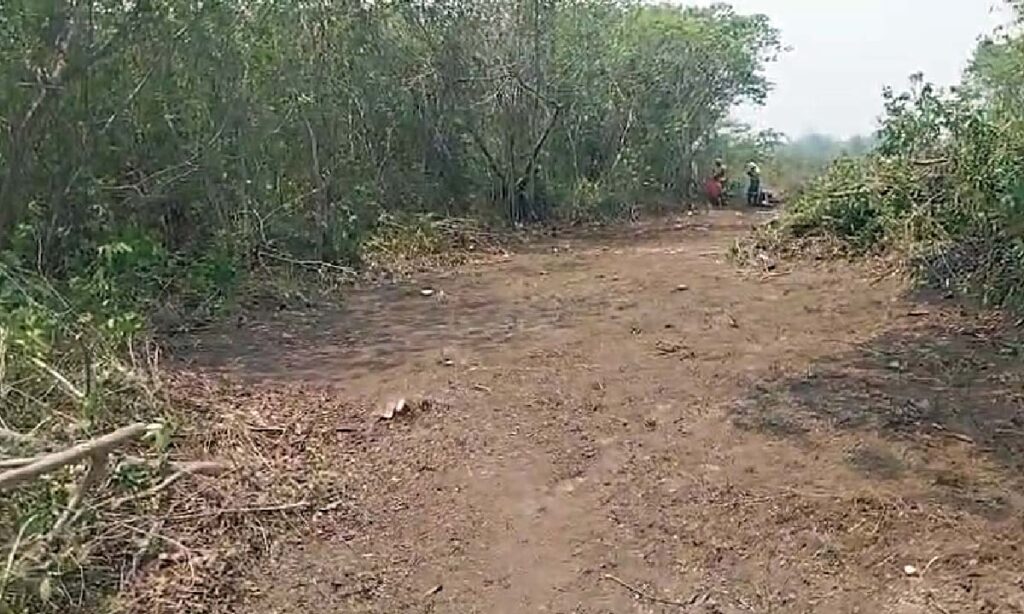 aceiros Incêndios no Pantanal