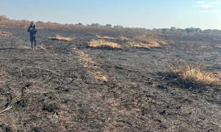 Acusado de incendiar área do Pantanal para criação de gado é multado em R$ 50 milhões pelo IBAMA