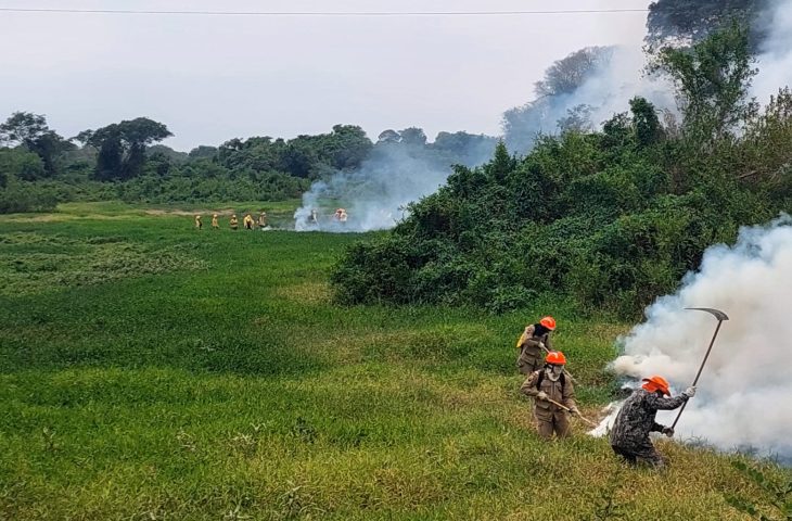 Pantanal de MS: chuvas acima da média auxiliam no combate aos incêndios