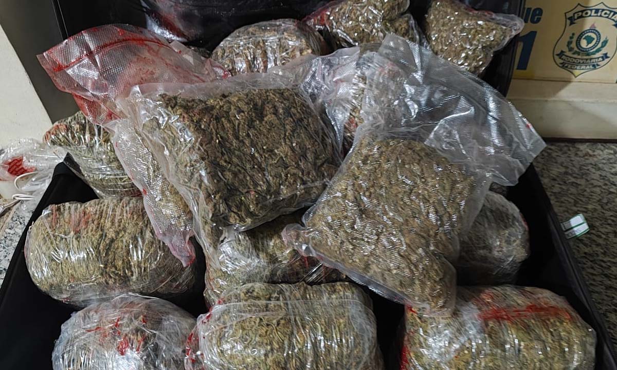 Leia mais sobre o artigo PRF apreende 15 kg de maconha em fiscalização na BR-262 em Corumbá