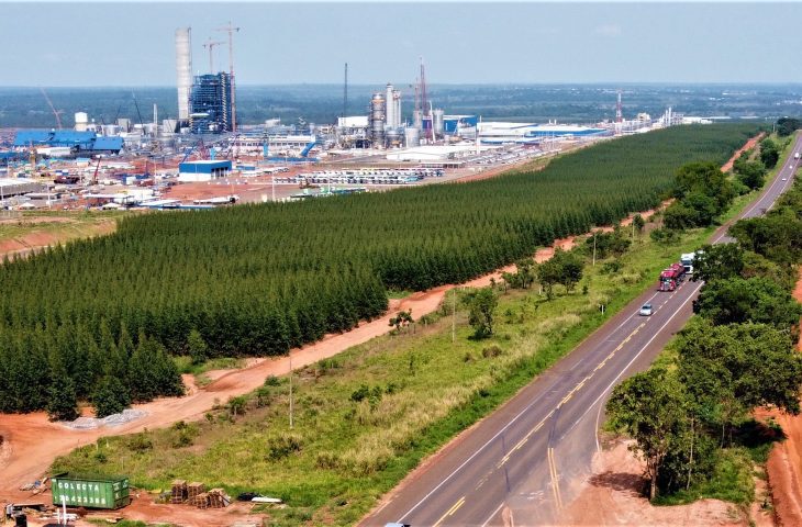 MS celebra 47 anos com novos empreendimentos e crescimento econômico