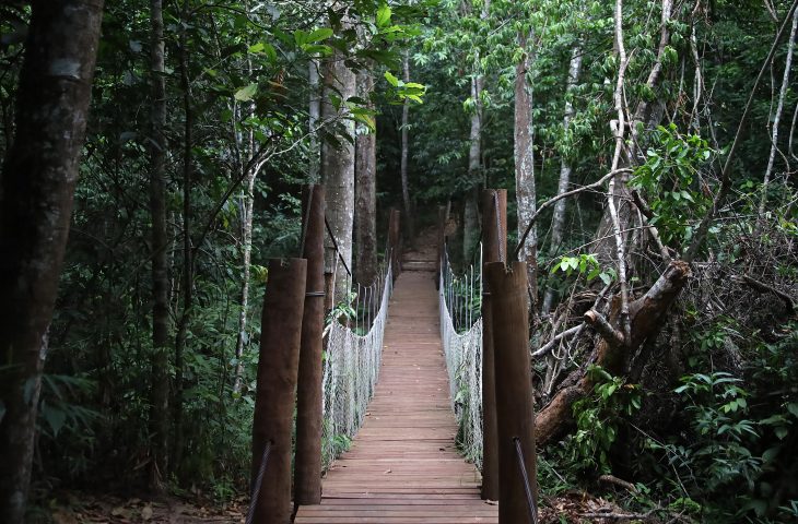 Com deck e mirante, trajeto da Corrida da PMA agora pode ser visitado pelo público