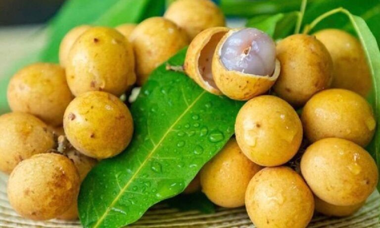 Criança morre engasgada com fruta no município de Jardim