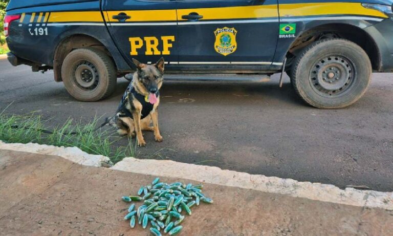 Boliviano é preso pela PRF com capsulas de cocaína presa ao corpo