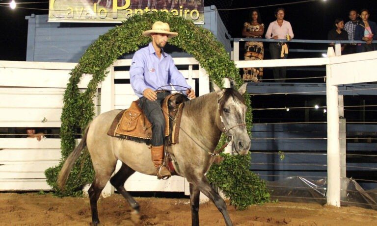 Feapan terá 1º shopping do cavalo pantaneiro