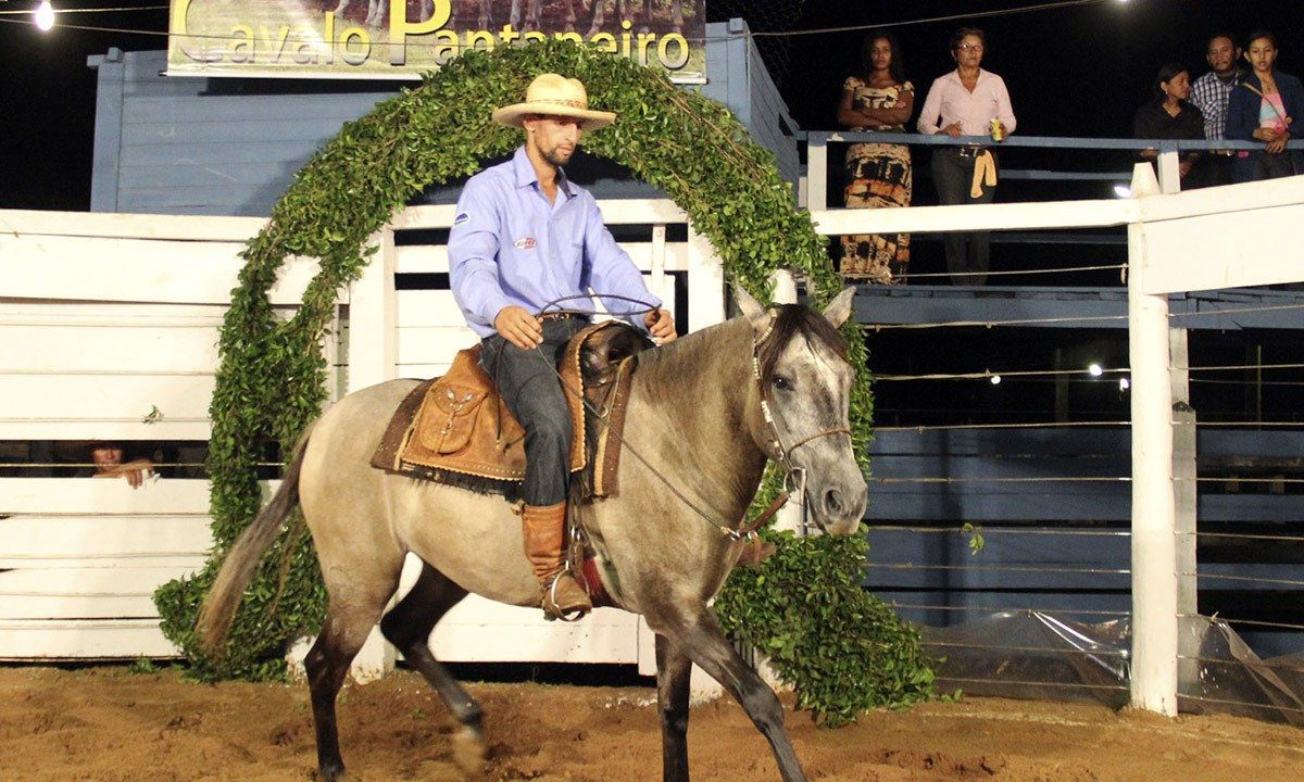 cavalo pantaneiro