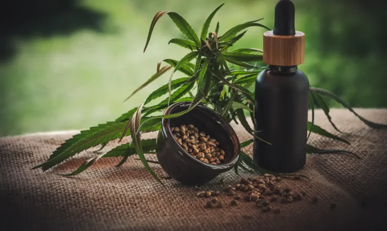 Segunda edição da ExpoCannabis começa hoje em São Paulo