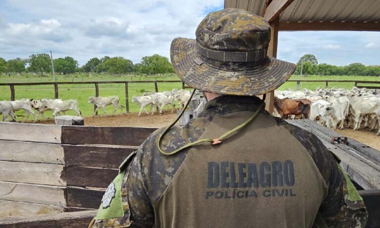 Polícia apreende gado furtado em leilão e descobre lote irregular avaliado em R$ 400 mil 
