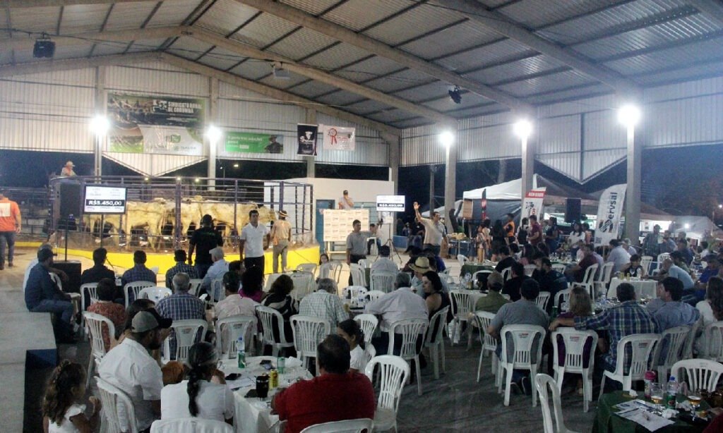 feapan3