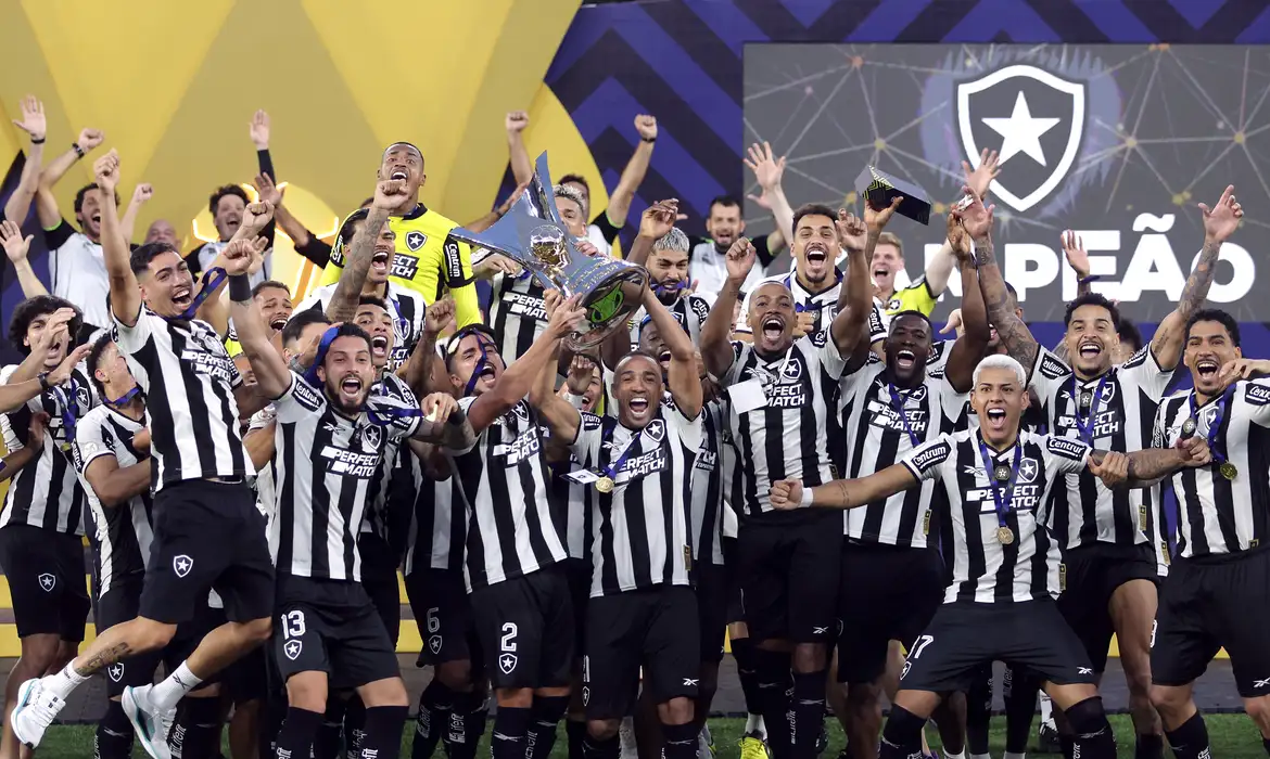 Leia mais sobre o artigo Botafogo derrota o São Paulo e conquista Brasileirão de 2024