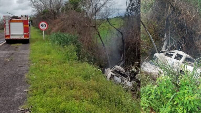 Criança de 8 anos morre em acidente na BR-262