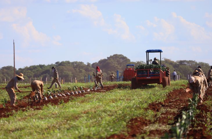 Governo do Estado concede benefício fiscal para setor da citricultura