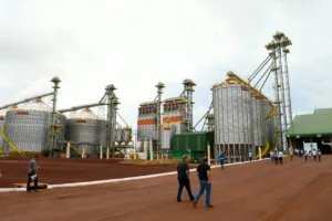 Leia mais sobre o artigo MS amplia processamento de soja em 20% com nova fábrica em Maracaju