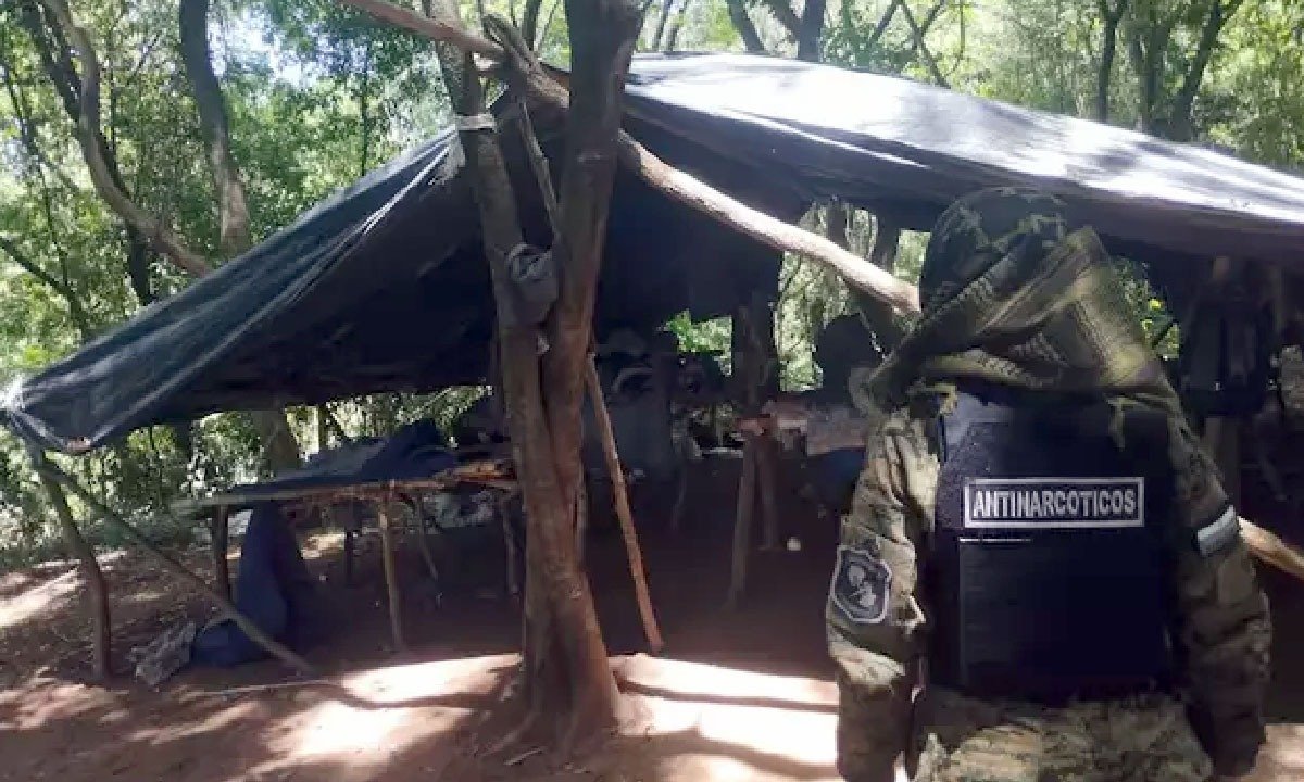 No momento, você está visualizando Operação no Paraguai destrói cinco toneladas de maconha em acampamento na fronteira