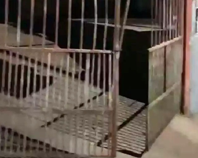 ataque pitbull2 Pit bulls