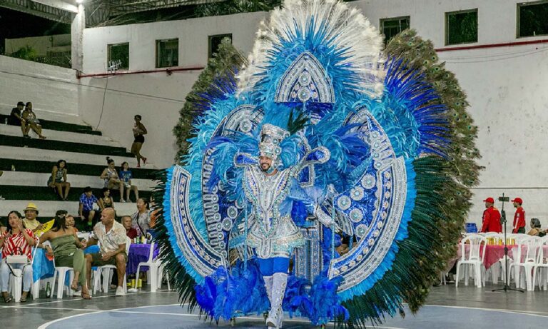 concurso de fantasias
