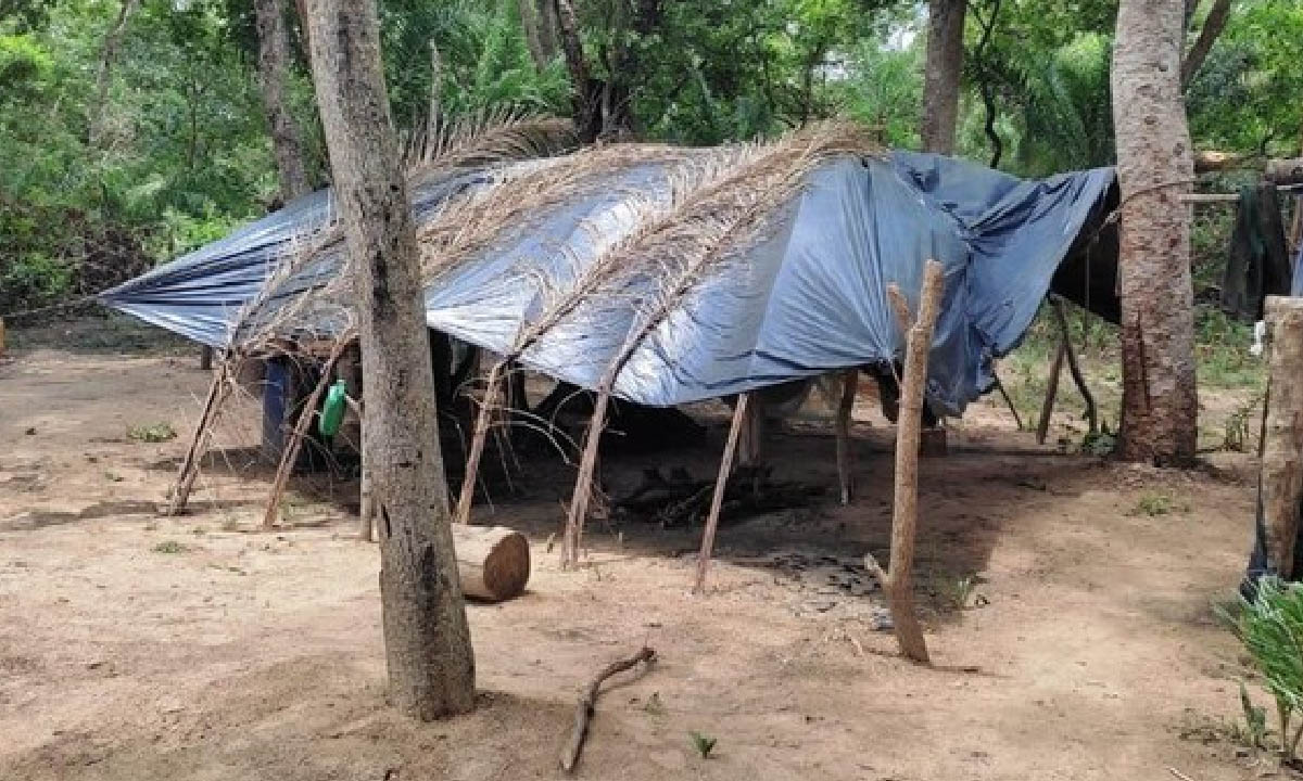 Trabalhadores resgatados no Pantanal