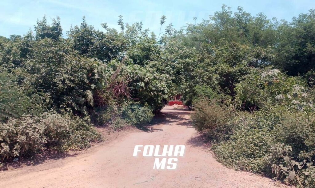 passagem brasil bolivia4 Polícia Civil