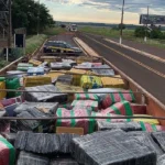 PRF apreende maior carga de maconha do ano em Ponta Porã