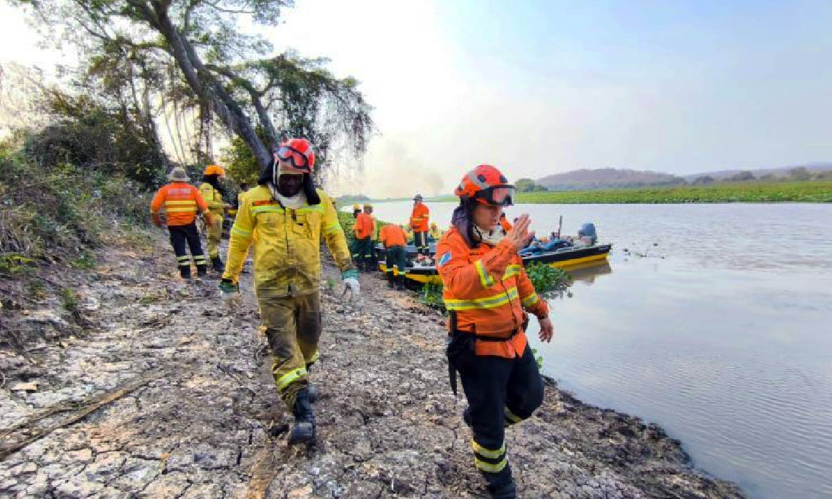 combate aos incêndios florestais