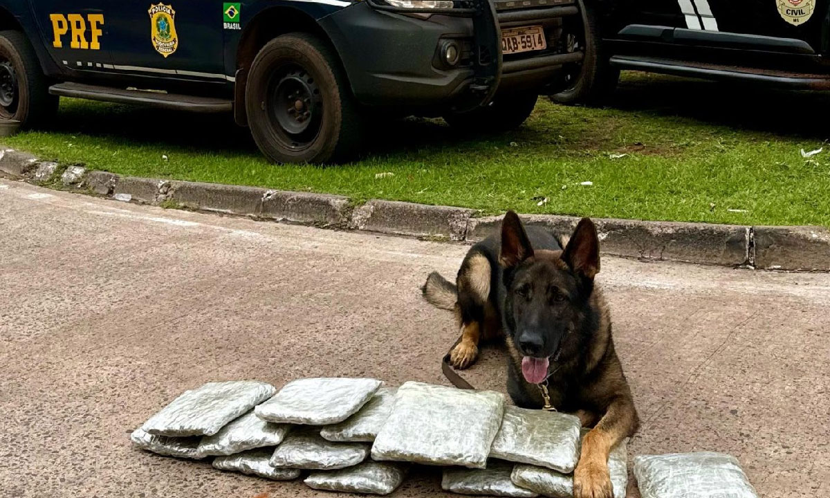 Droga foi apreendida com casal boliviano