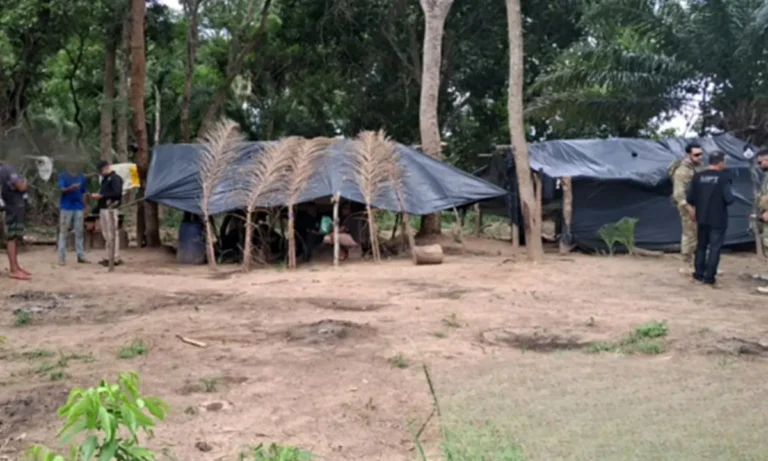 expropriação de fazenda no pantanal
