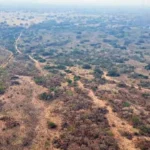 MPMS investiga incêndio que destruiu mais de 111 hectares no Pantanal
