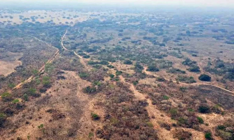 incêndio no Pantanal